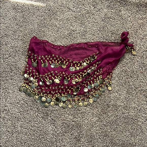 Belly Dance Hip Scarf with Gold Coins - Picture 1 of 1